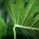 pathway-preview-img