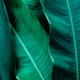 playlist-preview-img
