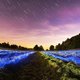 playlist-preview-img